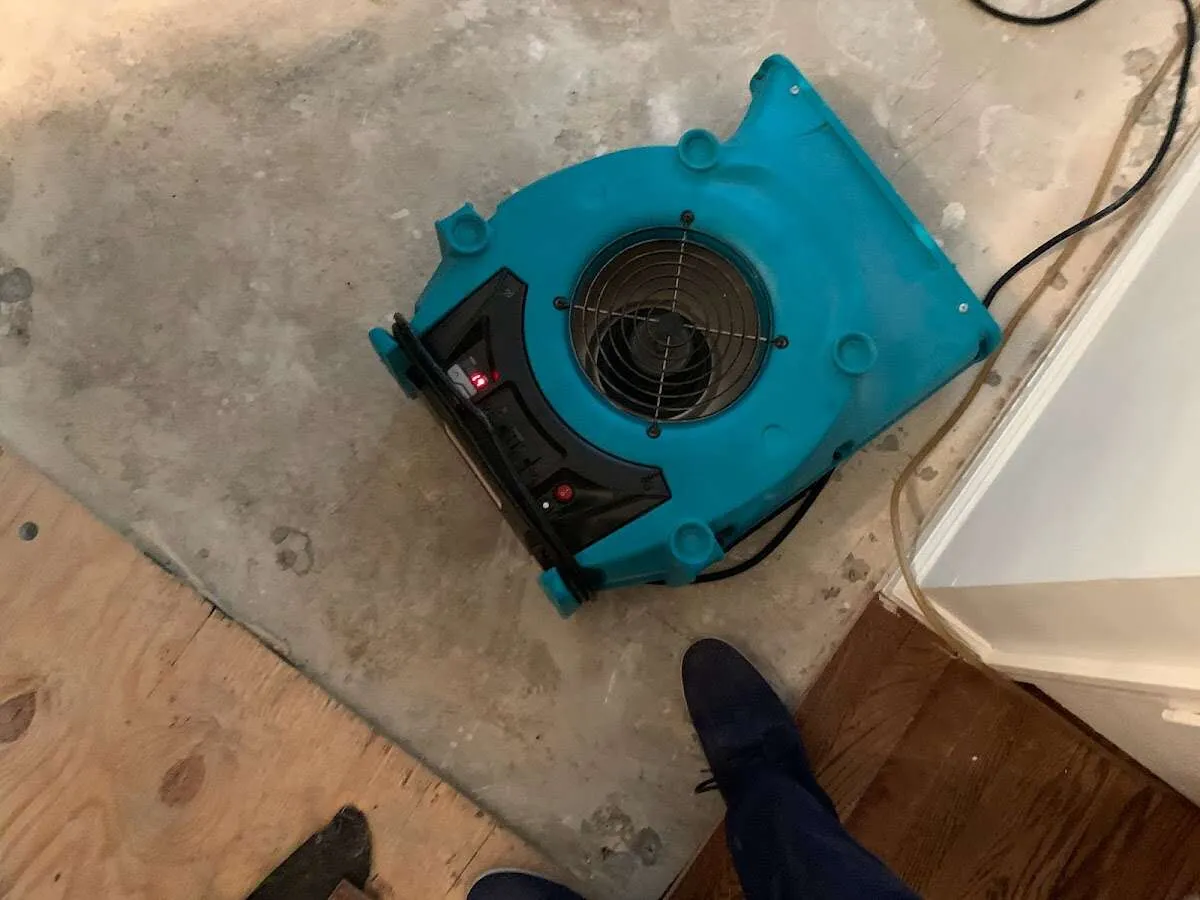 Air mover drying subfloor during Leak Detection & Repair in Saline